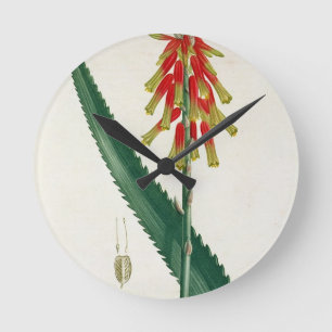 Horloge Ronde Aloès de "Phytographie Medicale" par Joseph Roque
