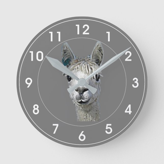 Horloge Ronde Alpaca Alpakka Alpaka Alpaga (Recto)