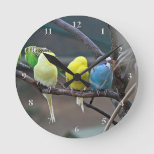 Horloge Ronde Amants intelligents d'oiseau d'oiseaux de