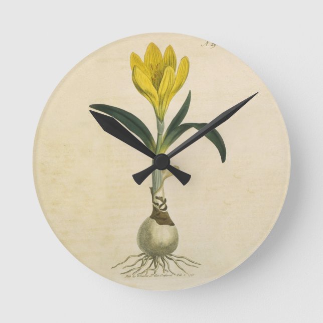 Horloge Ronde Amaryllis Tulip Jardin Botanique Fleur (Recto)