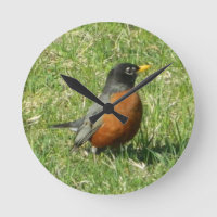 American Robin clock