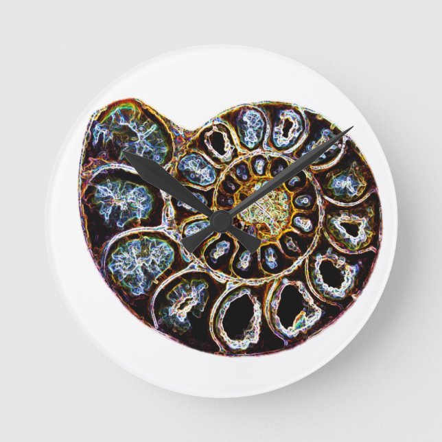 Horloge Ronde Ammonite (Recto)