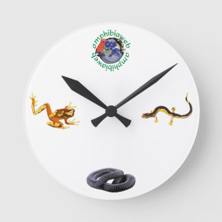 Horloge Ronde AmphibiaWeb Clock