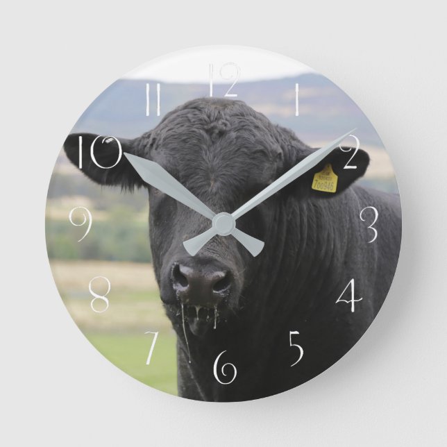 Horloge Ronde Angus black beef bull (Recto)