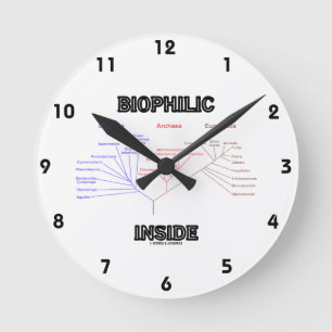 Horloge Ronde Arbre Phylogénétique Biophile À L'Intérieur De La 