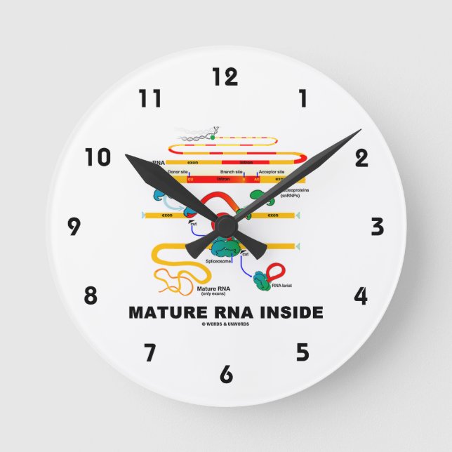 Horloge Ronde ARN mûr dans l'Humour de biologie (Recto)