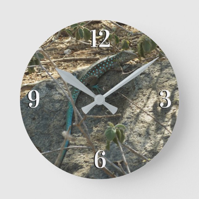 Horloge Ronde Aruba Whiptail Lizard Photographie d'animaux tropi (Recto)