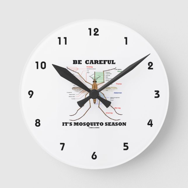 Horloge Ronde Attention c'est la saison des moustiques (Anatomie (Recto)