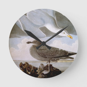 Horloge Ronde Audubon : Goéland argenté