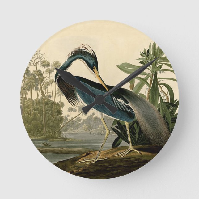 Horloge Ronde Audubon Louisiana Heron (Recto)