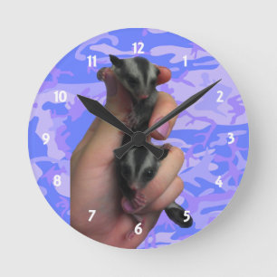 Horloge Ronde Baby Sugar Gliders Clock