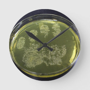 Horloge Ronde Bactéries à plat Petri à main