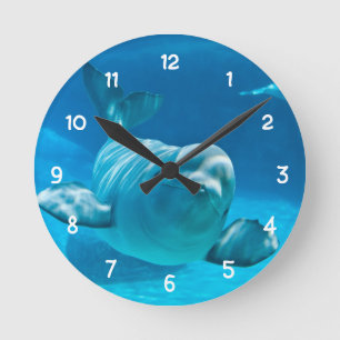 Horloge Ronde Baleine de beluga