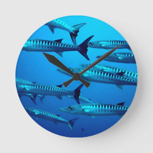 Horloge Ronde barracuda plongée mer profonde océan eau tropicale
