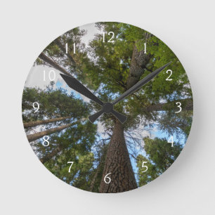 Horloge Ronde Barrage de Douglas Fir
