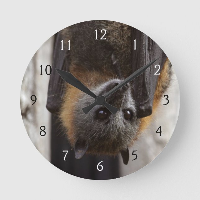 Horloge Ronde Bat australien (Recto)