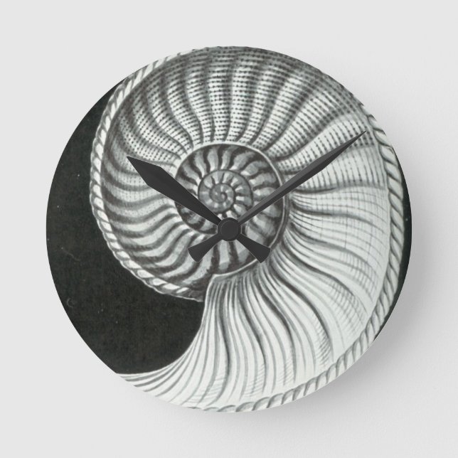 Horloge Ronde Beau dessin au crayon d'Amaltheus ammonite (Recto)