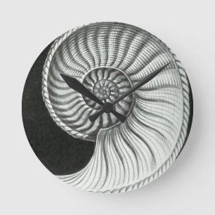 Horloge Ronde Beau dessin au crayon d'ammonite d'Amaltheus
