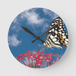 Horloge Ronde Beau Papillon