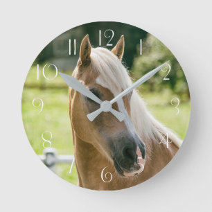 Horloge Ronde Beautiful haflinger horse