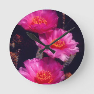 Horloge Ronde Beavertail Cactus Flowers 2