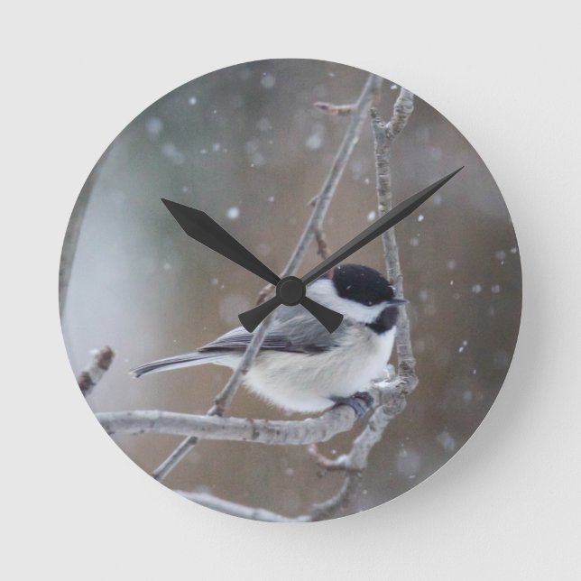 Horloge Ronde Bécasseau noir - Songbird (Recto)