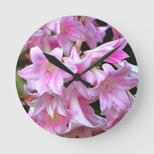 Horloge Ronde Belle Belladonna Amaryllis Rose