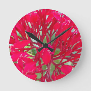 Horloge Ronde Belle fleur de sang Milkweed Art Imprimer/Graphiqu