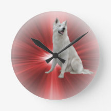 Berger allemand blanc