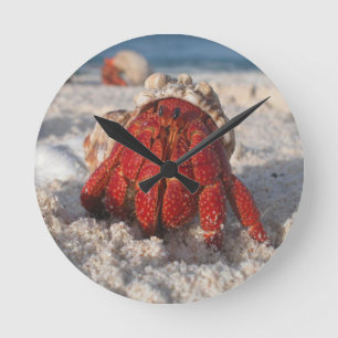 Horloge Ronde Bernard l'ermite