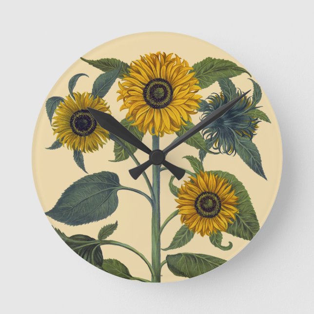 Horloge Ronde Besler (Recto)