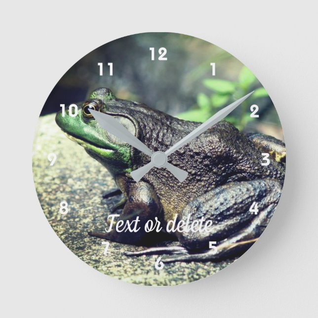 Horloge Ronde Big Old Bullfrog On Rock Personnalisé (Recto)