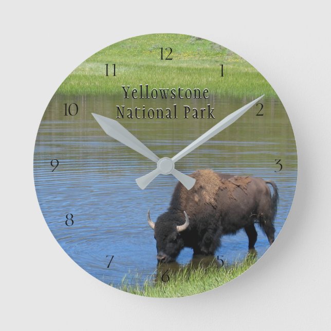 Horloge Ronde Bison du parc national Yellowstone à Pond (Recto)