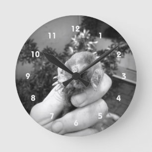 Horloge Ronde Blanc noir animal de sourire vivant de taupe à