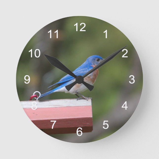 Horloge Ronde Bluebird (Recto)