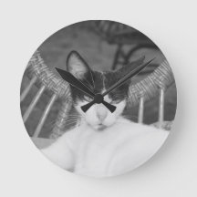 Bonjour, Meow...