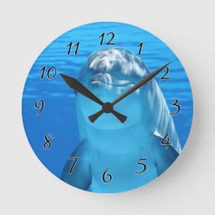 Horloge Ronde Bottlenose Dolphin looks at the camera under water