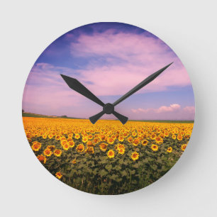 Horloge Ronde Boucle de mur du terrain de tournesol
