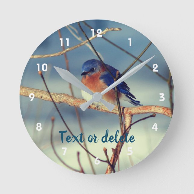 Horloge Ronde Boule bleu d'hiver personnalisée   (Recto)