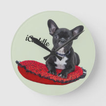 Bouledogue français d'iCuddle adorable