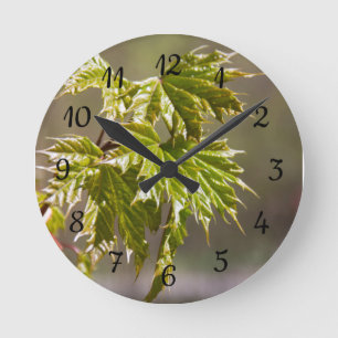 Horloge Ronde Branche d'érable vert mignon avec petits feuilles