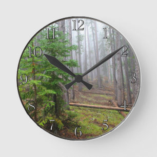 Horloge Ronde Brume dans la forêt de pin