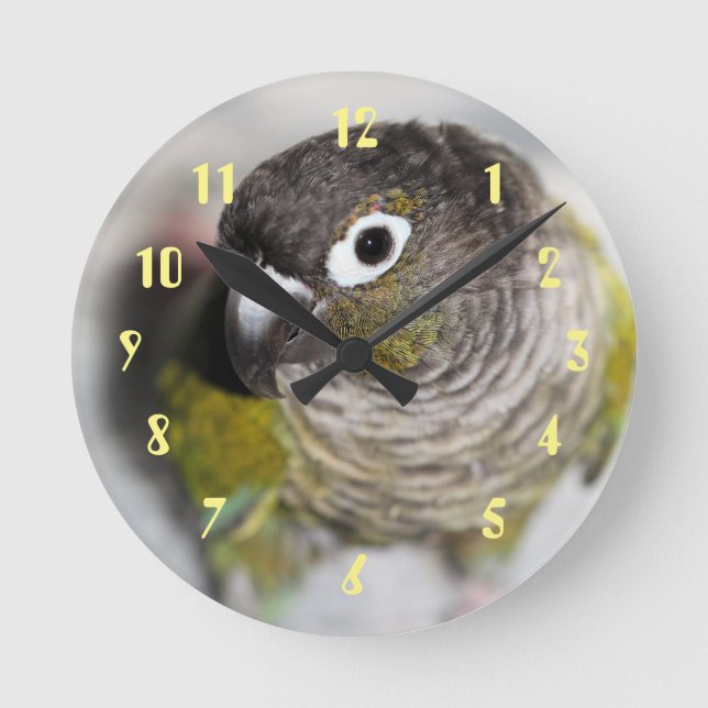 Horloge Ronde Burbel (Recto)