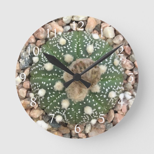 Horloge Ronde Cactus vert rare de motif d'Astrophytum Asterias (Recto)