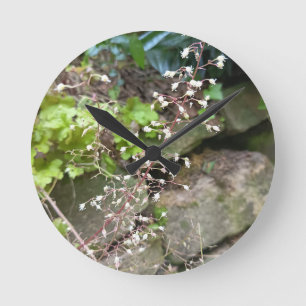 Horloge Ronde Cadran Rond Nature Fleur Blanche