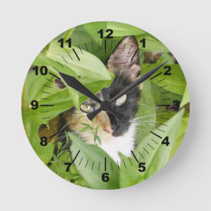 Horloge Ronde Calico Cat dans les Zinnias