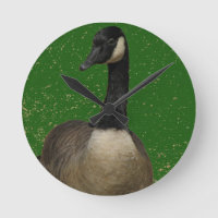 Canada Goose