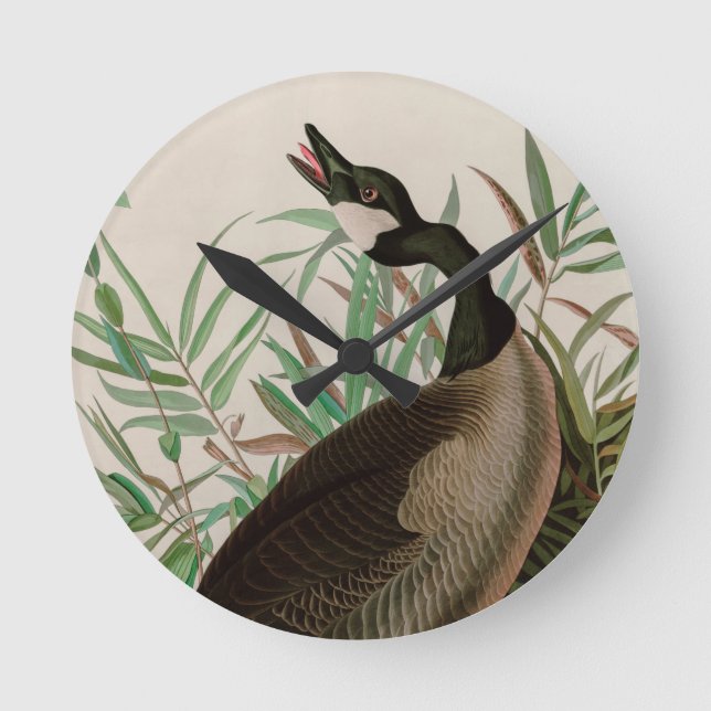 Horloge Ronde Canada Goose Birds of America Audubon (Recto)