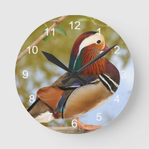 Horloge Ronde Canard mandarin