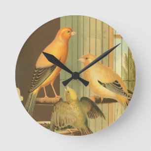 Horloge Ronde Canaris London Fancy - oiseaux vintage